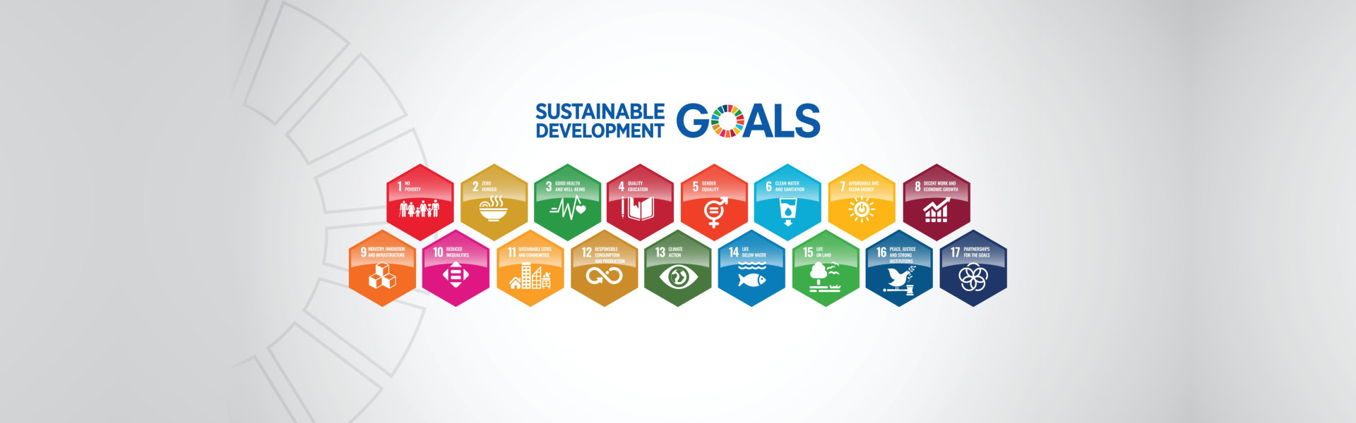 A series of colorful hexagons with the words " sustainable development goals ".