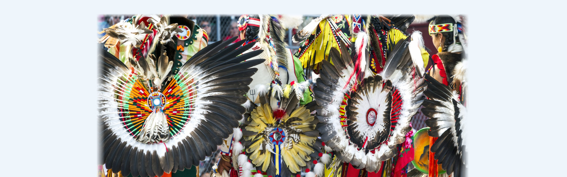 A group of native american feathers hanging on the wall.